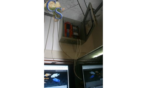Zuchtraum 2016